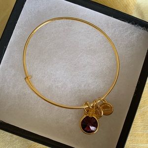 February birthstone Alex and Ani bracelet